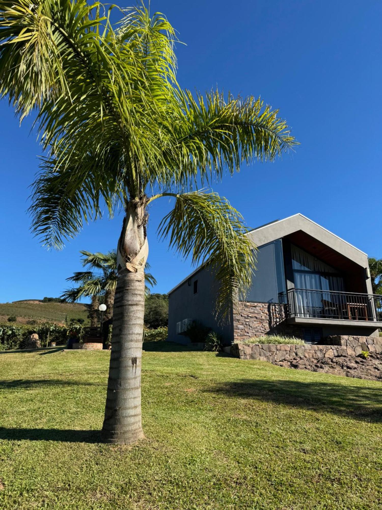 Cabanas Le Vigne Pinto Bandeira Exterior photo