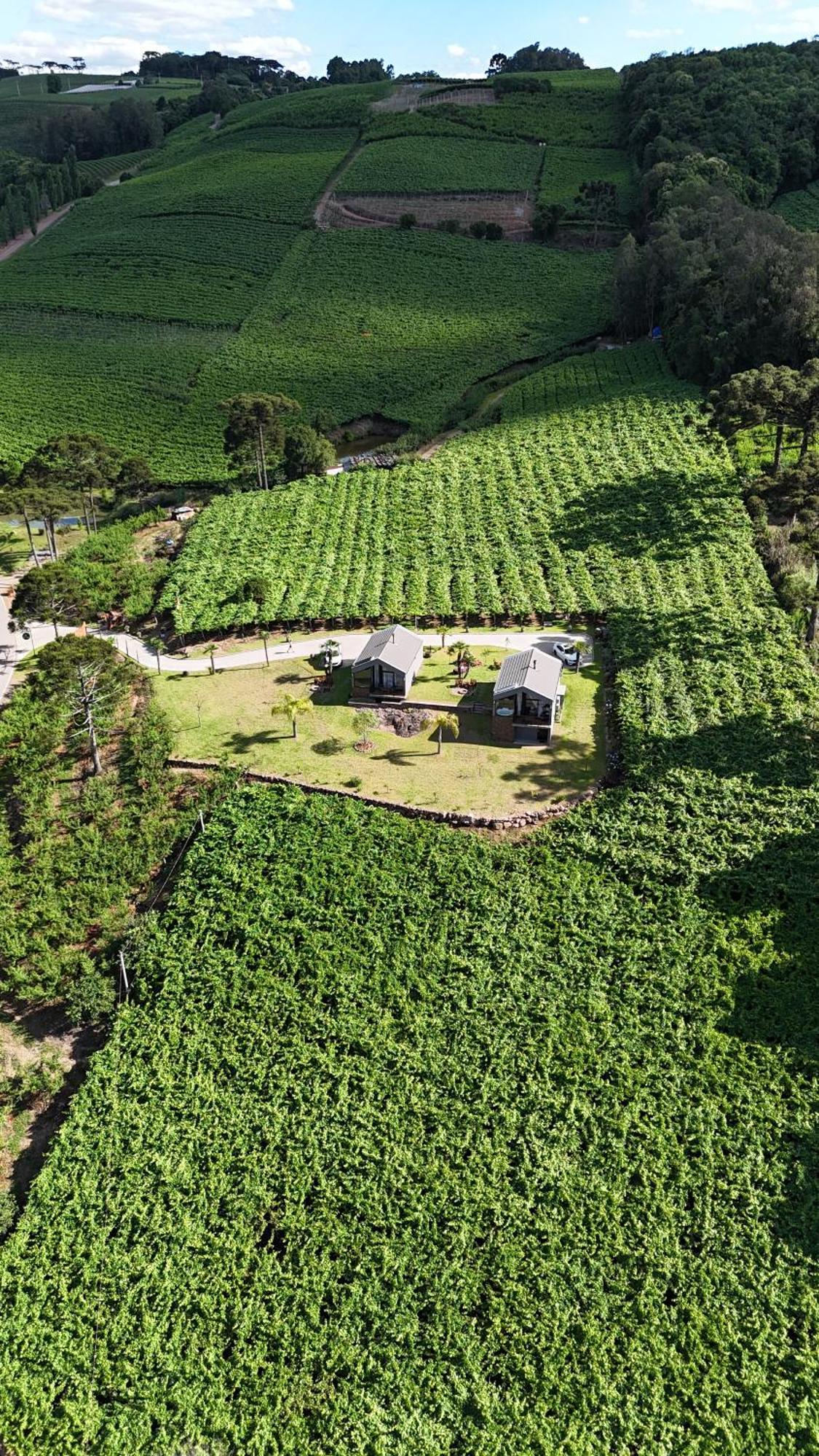 Cabanas Le Vigne Pinto Bandeira Exterior photo
