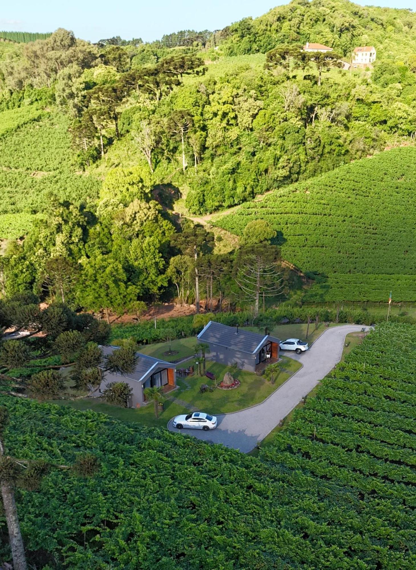 Cabanas Le Vigne Pinto Bandeira Exterior photo